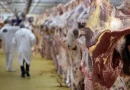 China Total Meat Imports Forecast Higher in 2023