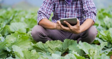 Digital solutions are boosting agriculture in Kenya, but it’s time to scale up