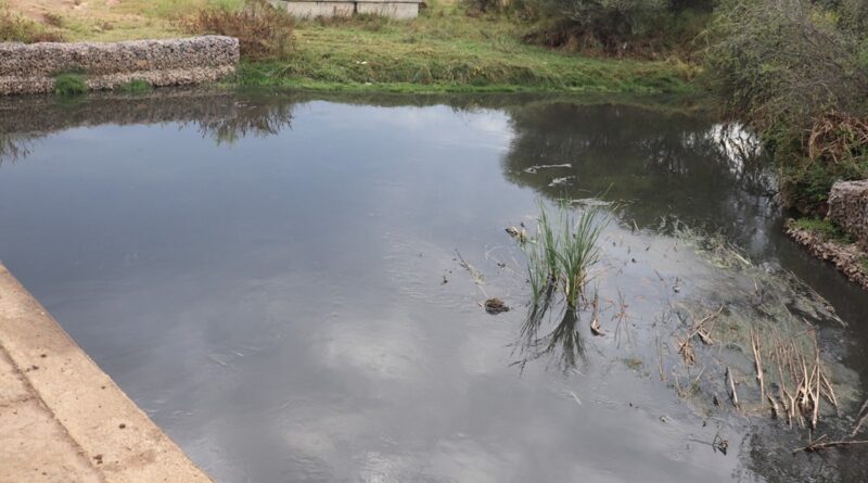 Farmer Apologizes for Washing Vegetables with Effluent Water